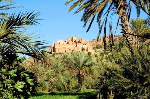 TAROUDANT_plameraie-oasis-de-tiout-taroudant-maroc